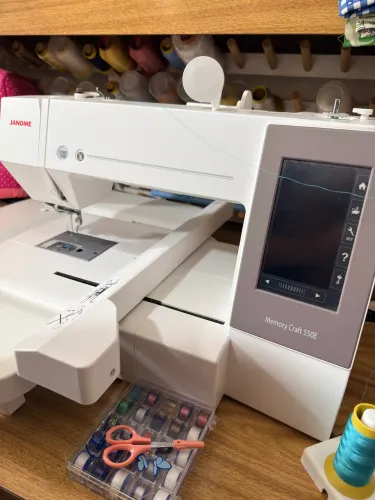Bordadeira doméstica Janome 550E, único dono!