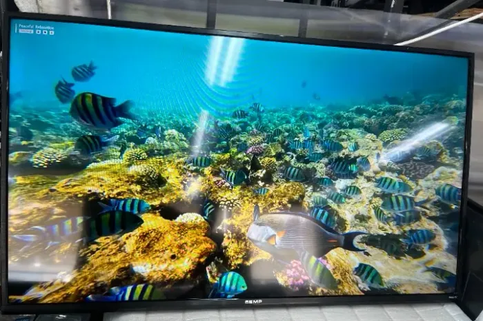 Tv semp 43 polegadas smart Full HD (garantia e parcelamento no cartão)