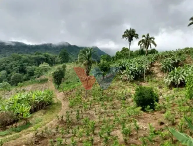 Sítio de 33 Hectares com Produção Agrícola e Potencial para Turismo Rural