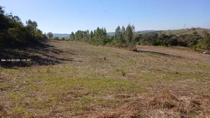 Área Rural para Venda em Jataizinho, RURAL