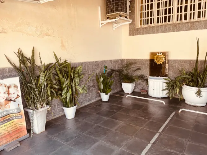Vaso de cimento com plantas