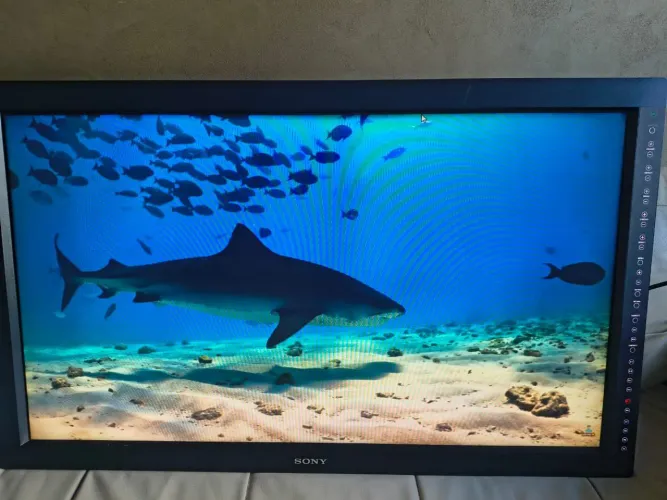 Monitor Sony LMD-4250W 42 polegadas 