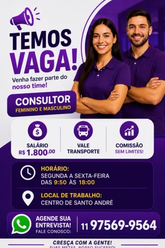 Consultor interno