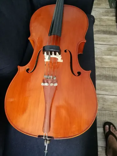 Violoncelo Eagle CE 200