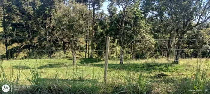 Terreno rural Alfredo Wagner sc