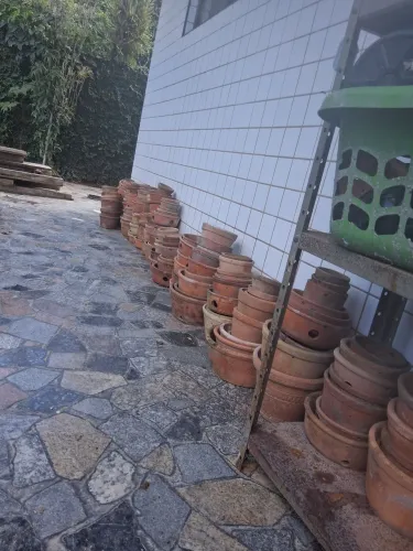Lote com 250 Vasos para orquídeas