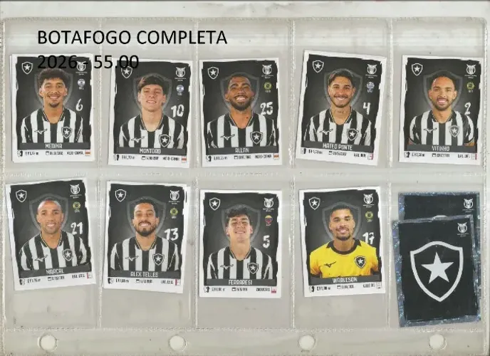 FIGURINHAS BOTAFOGO TIME COMPLETO CAMPEONATO BRASILEIRO 2026 - 60.00