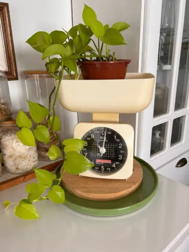 Balança de Cozinha Vintage Sunrise - Capacidade 10kg