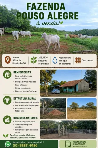 VENDO FAZENDA MUNICÍPIO DIANOPOLIS TOCANTINS 