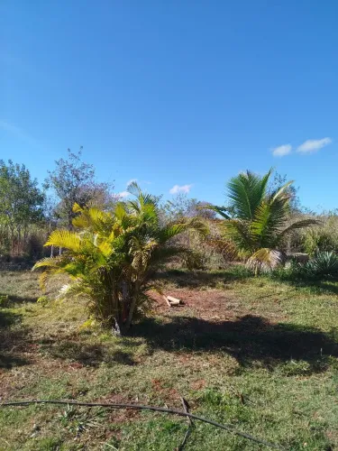 Venda de terreno 8.000 metros com casa e poço artesiano