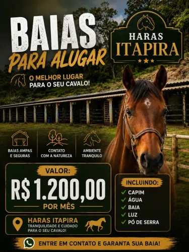 Baias para seu CAVALO