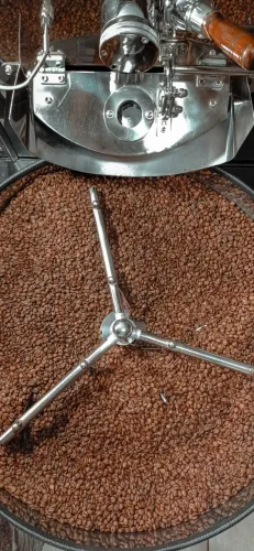 Café em grãos 100% Arábica - Direto do Produtor - 500g