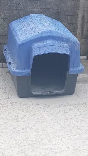 casa de cachorro