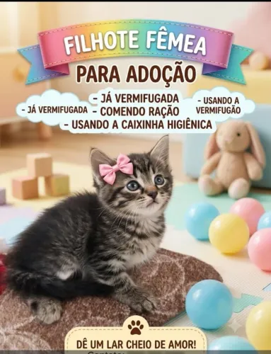 Para uma adoção responsável 
