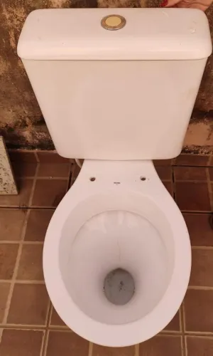 Vaso sanitario