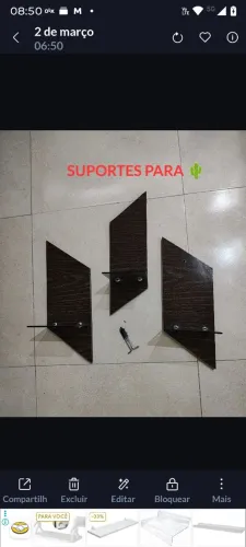 Suporte para cacto ?