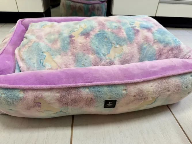 CAMINHA PET G para cachorro ou gatos