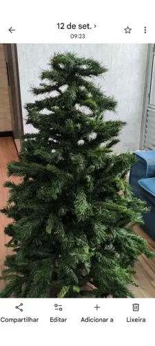 Árvore de Natal Pinheiro Canadense - Semi Nova