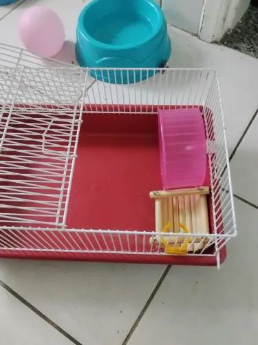 Casa de Hamster