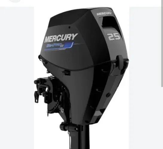 Mercury 25HP EFI Manual Sea Pro 4Tempos - Motor de Popa Novo 