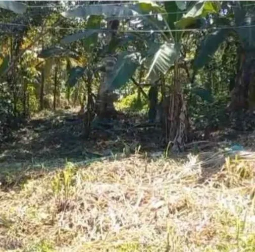 15.000 - (ACEITO PROPOSTA) MED 6,5 X 30, NO CENTRO DE PEIXE-BOI/PA, BEM PRÓXIMO DE TUDO,!