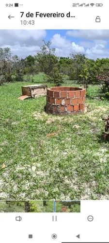 Lindo terreno plano, alto, fértil, excelente para sítio 