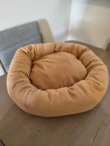 Cama + Brinquedo + Fonte de água para pet