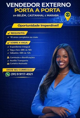 Vendedor Externo - PAP 