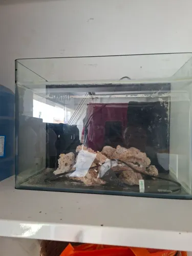 Aquario 36l com mídia, pedras e sistema de filtragem