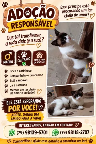 Adoção