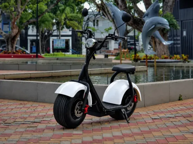 Scooter Eletrica Smart wheel 1000w 2025