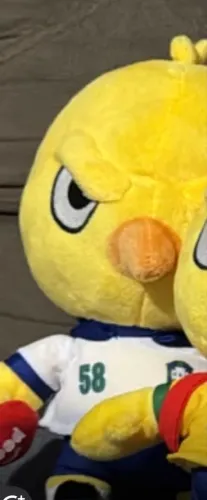 Troco canarinho 58