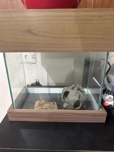 Aquario
