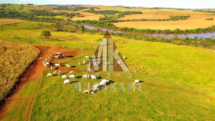 FAZENDA - NOVA AURORA - PR