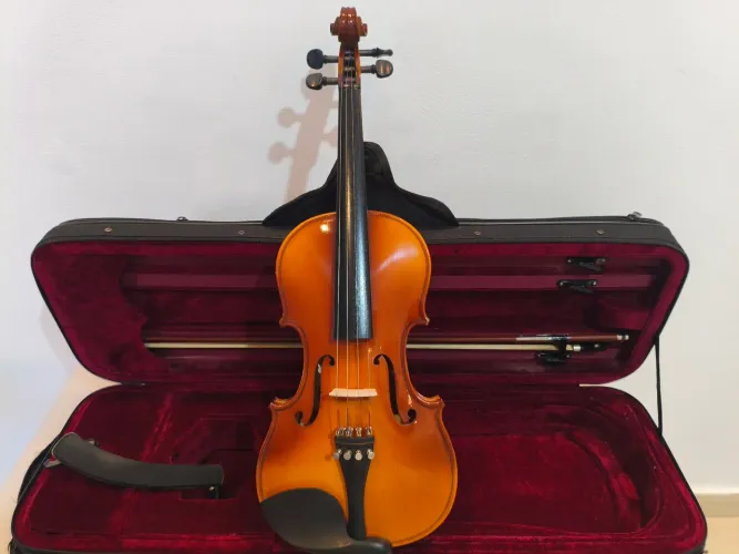 Violino Michael VNM 47