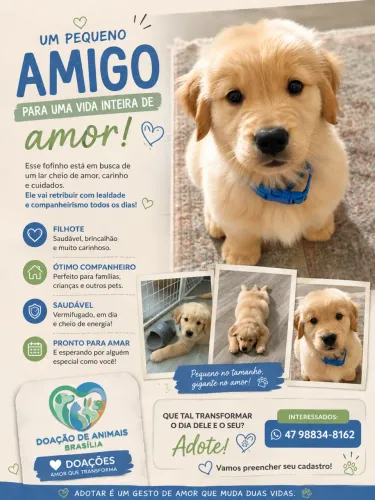 DOAÇÃO DE UM PEQUENO AMIGO, UM GRANDE AMOR! ?