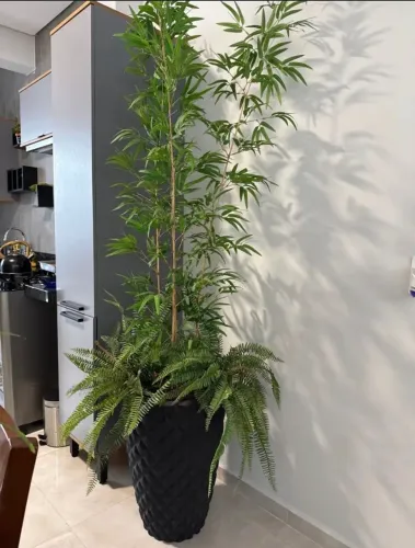 Vaso com plantas