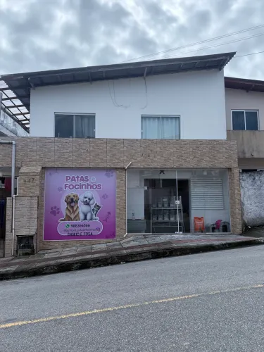 Aligo kitnete