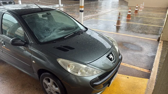 Peugeot 207 XR 1.4 Flex 8V 3P 2010