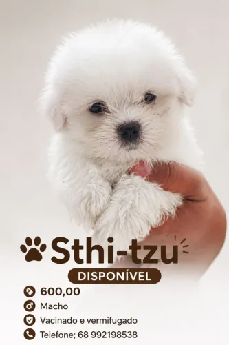 Sthi-tzu 