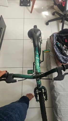Bicicleta