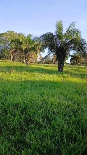 Sítio à venda em Goiás Velho 42 hectares, pasto formado e água abundante