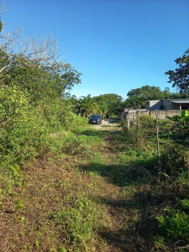 Terreno 20x50 Peruíbe SP