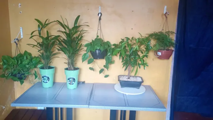 Mesa comercial 