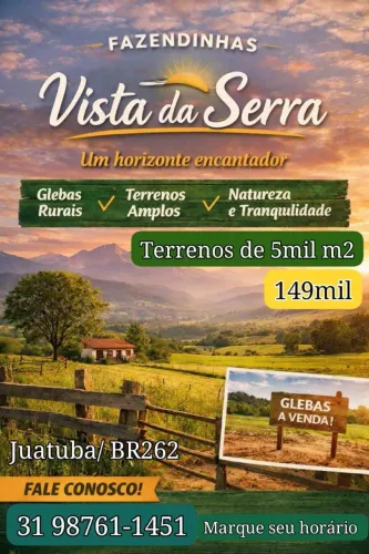 Terreno rural em florestal