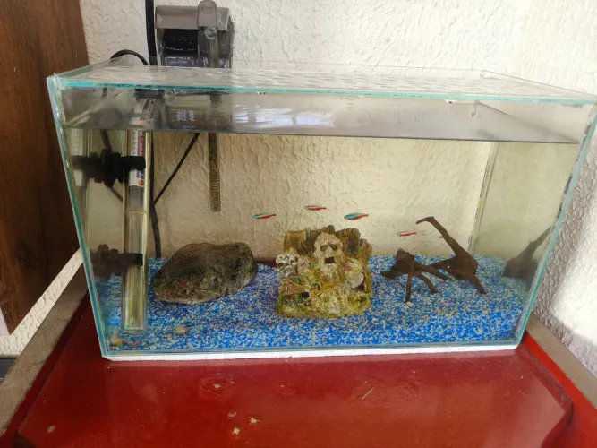 Aquário completo 18 Litros
