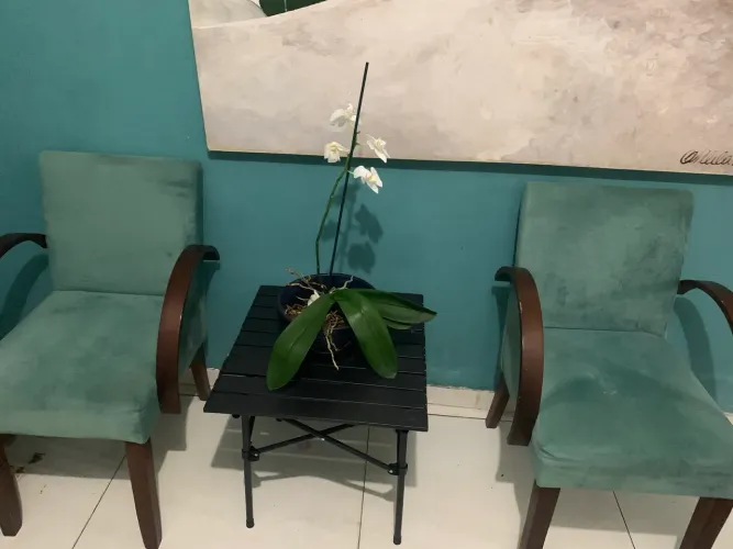 Oportunidade duas cadeiras lindas azul