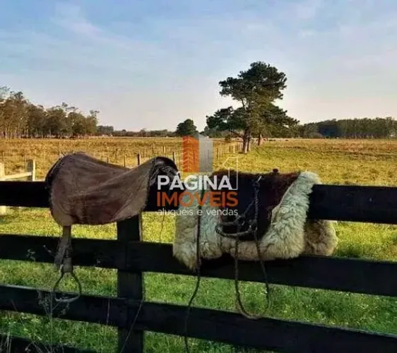Página 1 Imóveis anuncia ótima Fazenda à Venda com 92 hectares - Águas Claras, Viamão