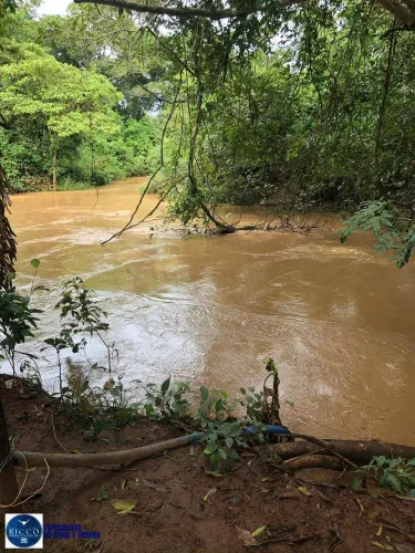 Chácara à Venda em Anicuns GO | 2,5 Alqueires