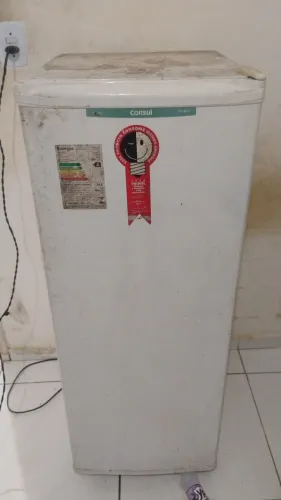 Freezer horizontal